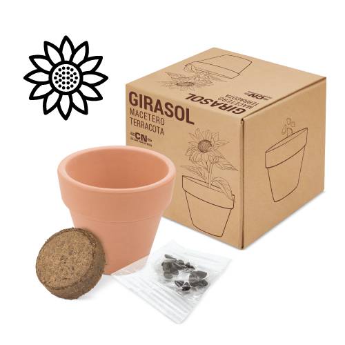 Maceta terracota con semillas de girasol