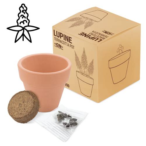 Maceta terracota con semillas de lupine