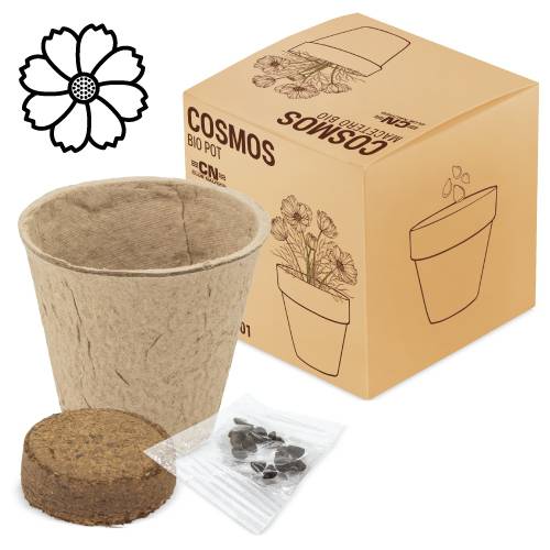 Maceta bio con semillas de cosmos