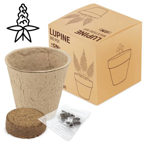 Maceta bio con semillas de lupine