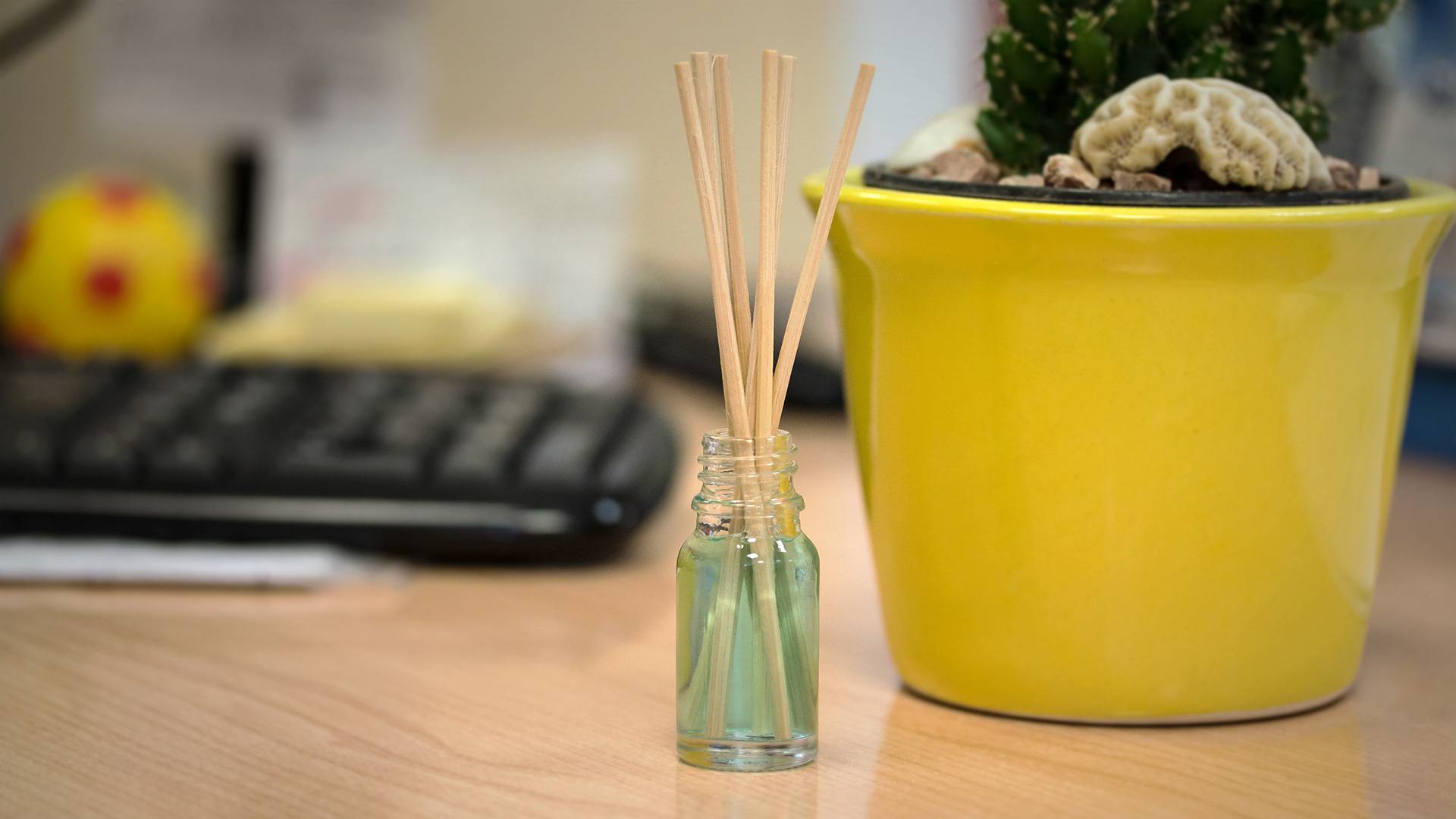 Lote de 50 difusores ambientador oceano azul