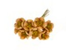 Ramillete con 8 flores decoracion 2.5 cm cafe