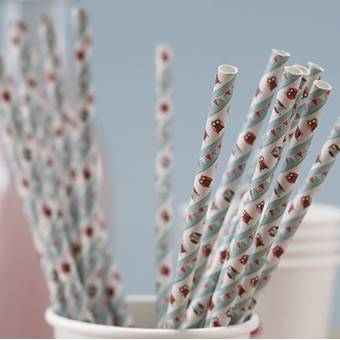 Lote 5 piezas cumpleaños buhos