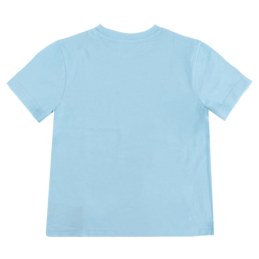 Camiseta Elsa Frozen Disney