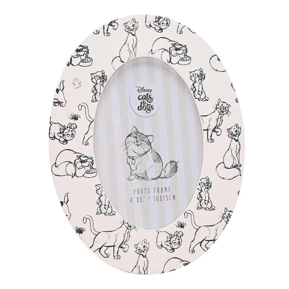 Marco fotos Cats – Cats & Dogs Disney