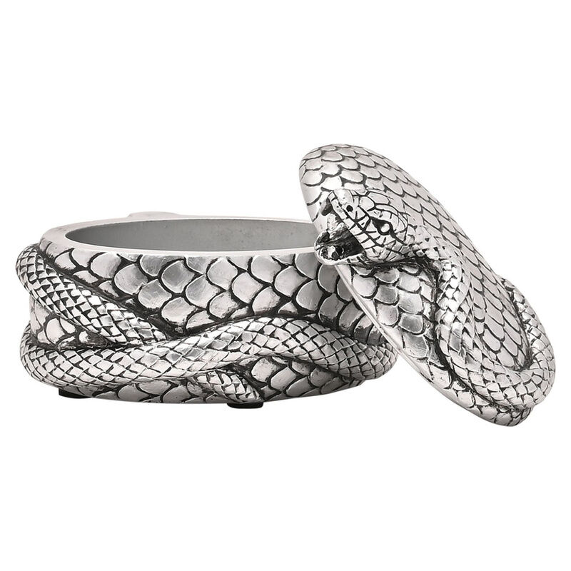 Joyero Nagini Harry Potter