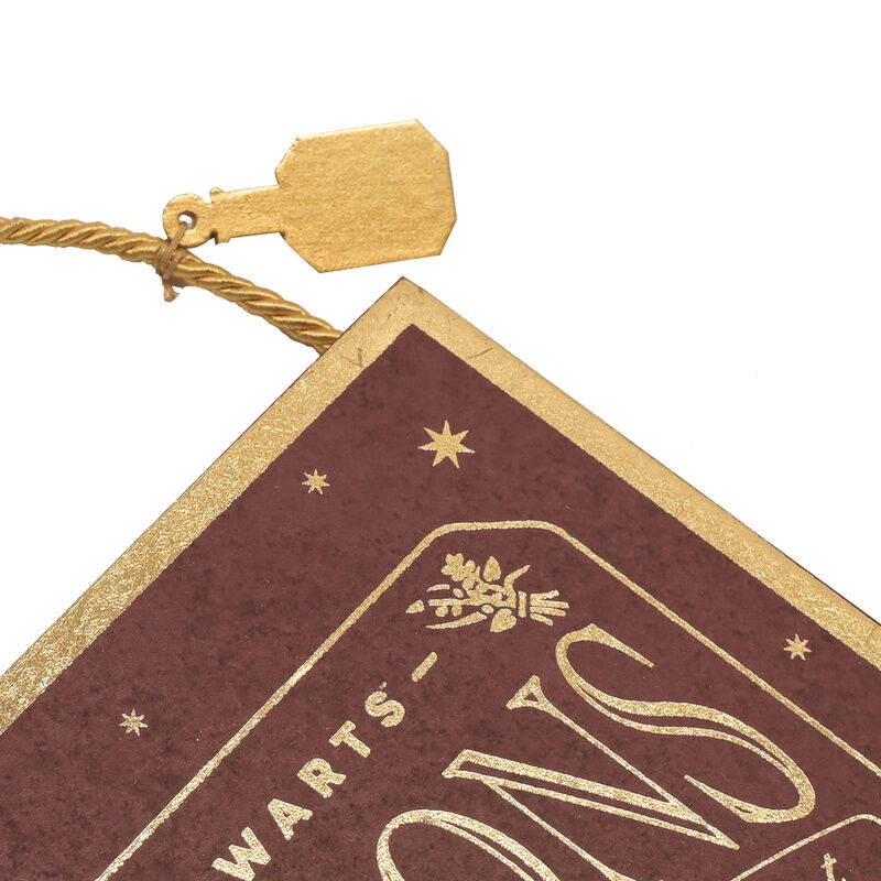 Colgante pared Felix Felicis Harry Potter