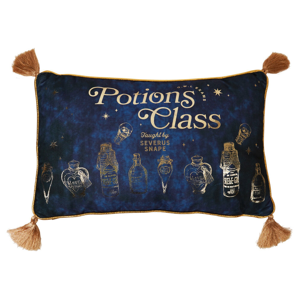 Cojin velvet Potions Class Harry Potter
