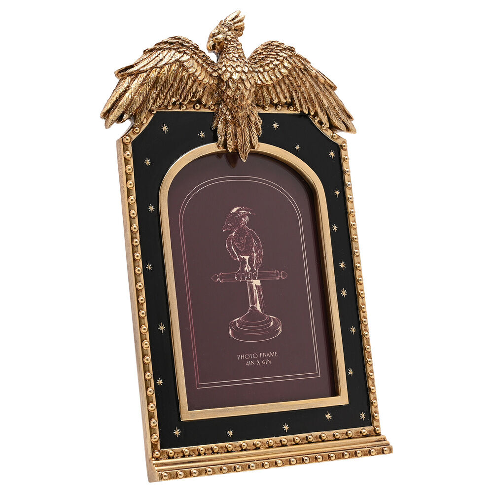 Marco fotos Fawkes Harry Potter