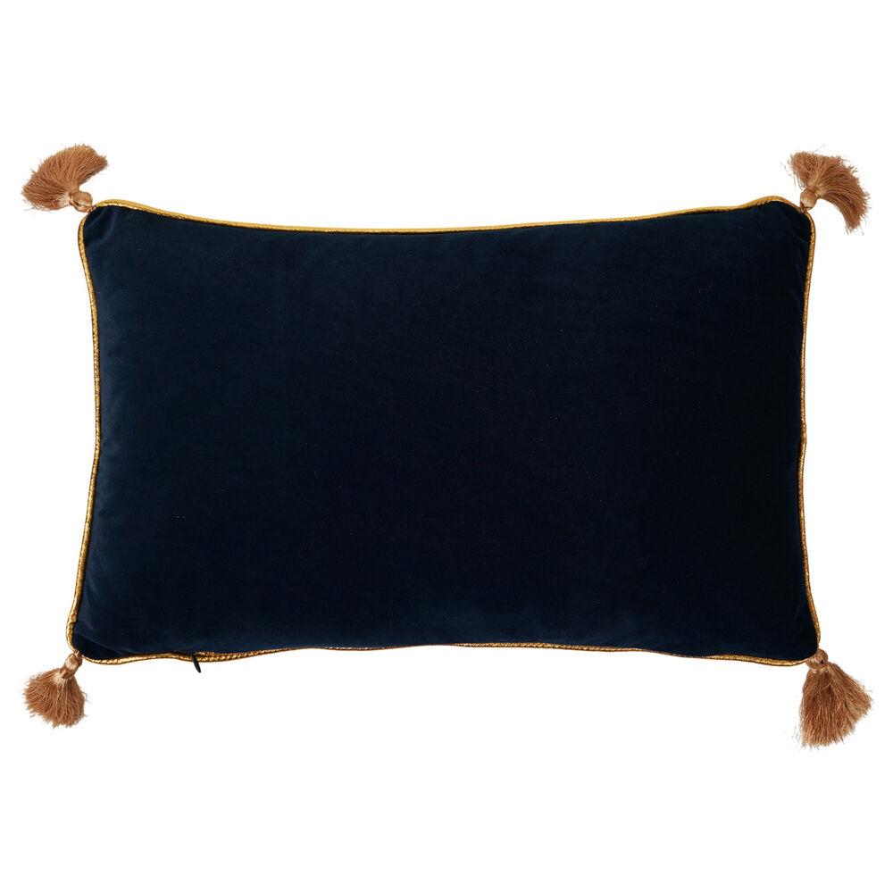 Cojin velvet Potions Class Harry Potter