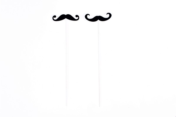 Pincho pic mostachos - Imagen 3