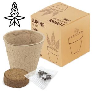 Maceta bio con semillas de lupine