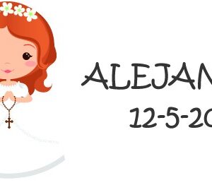 Lote 44 pegatinas etiquetas personalizadas