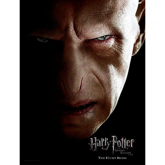Poster cristal Voldemort Harry Potter