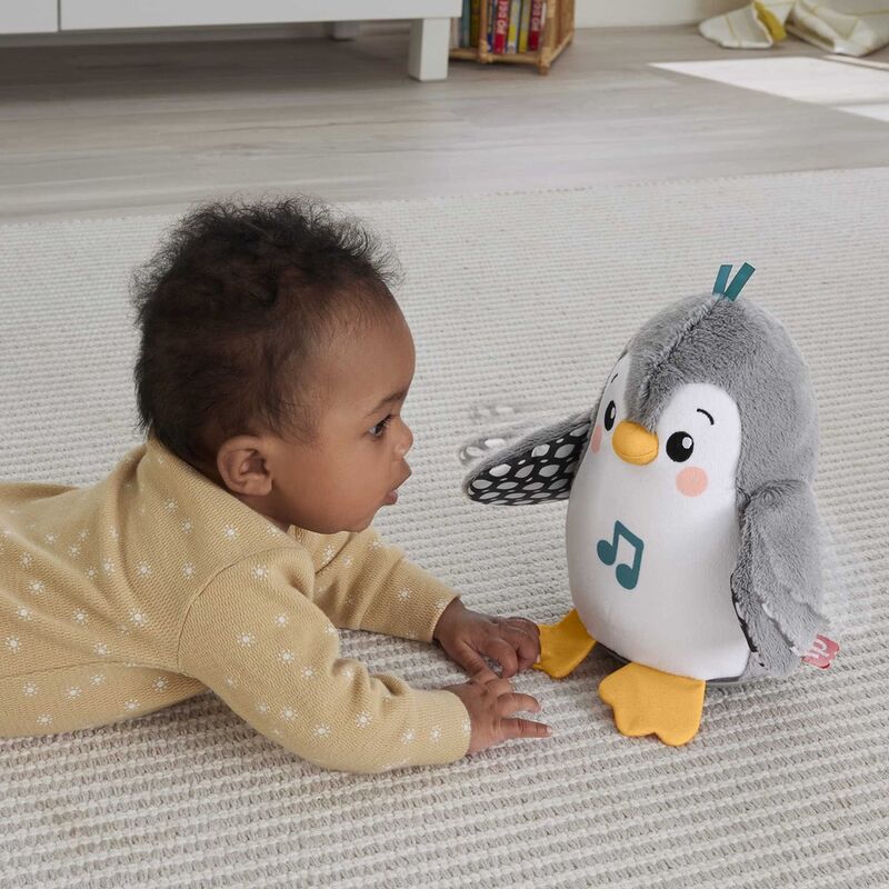 Pingüino Anda y Aletea - Imagen 4