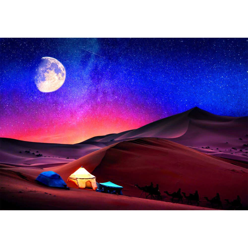 Puzzle Starry Night Dream 500pzs