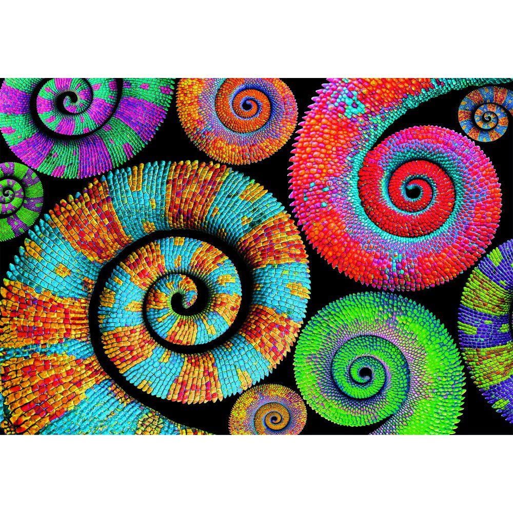 Puzzle Curly Tails Color Boom 500pzs