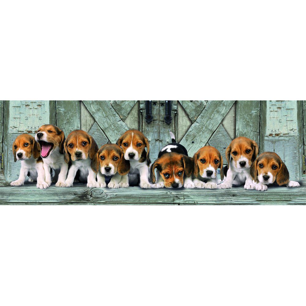 Puzzle Panorama Beagles High Quality 1000pzs