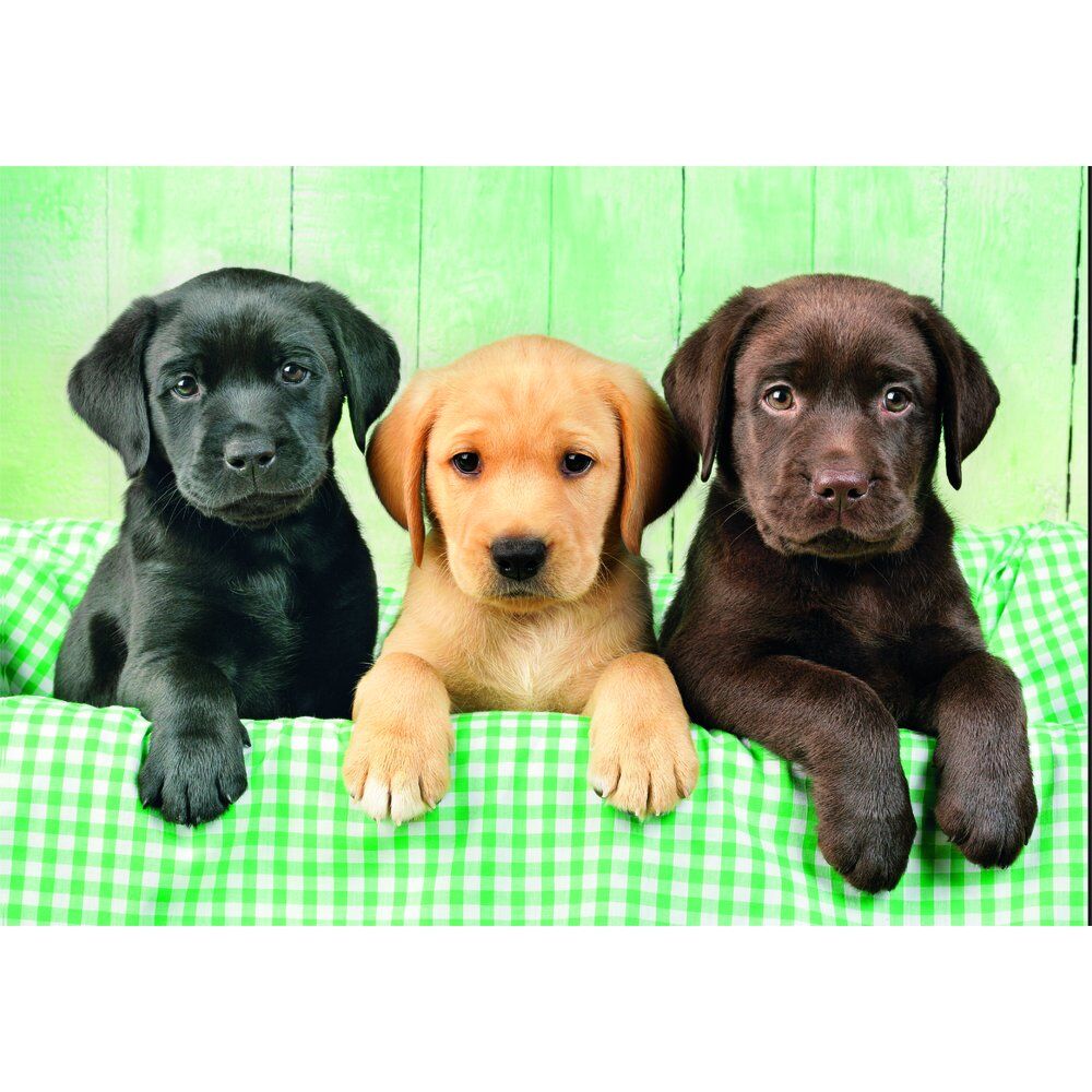 Puzzle Three Labs High Quality 1000pzs