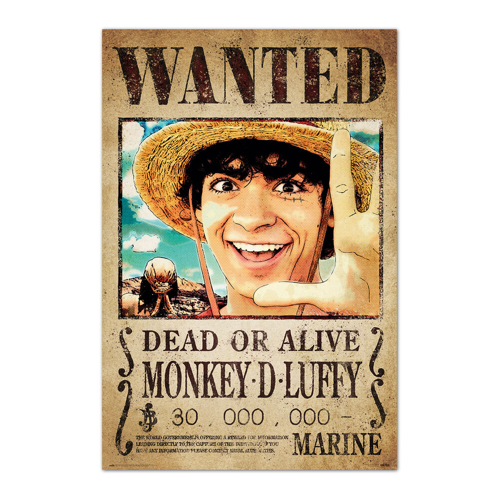 Poster Se Busca Monkey D. Luffy One Piece