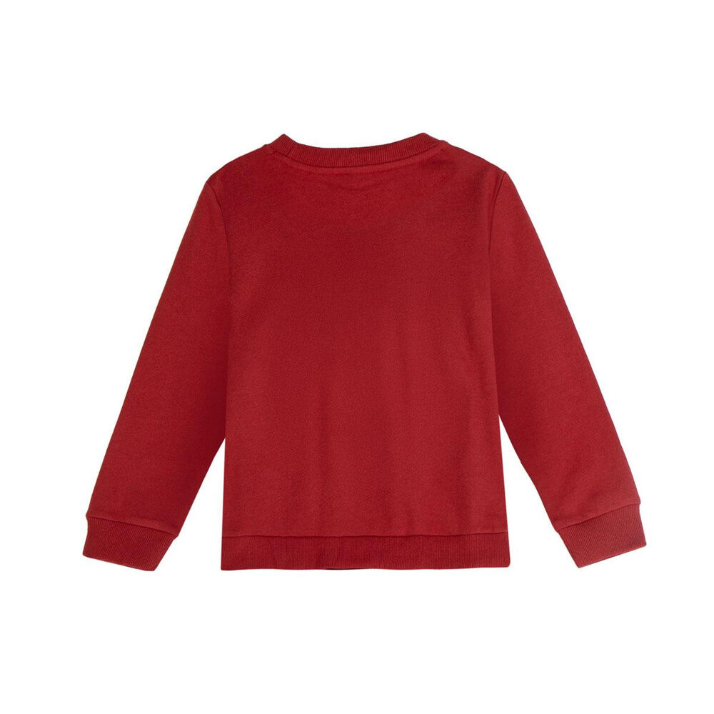 Sudadera Hot Wheels