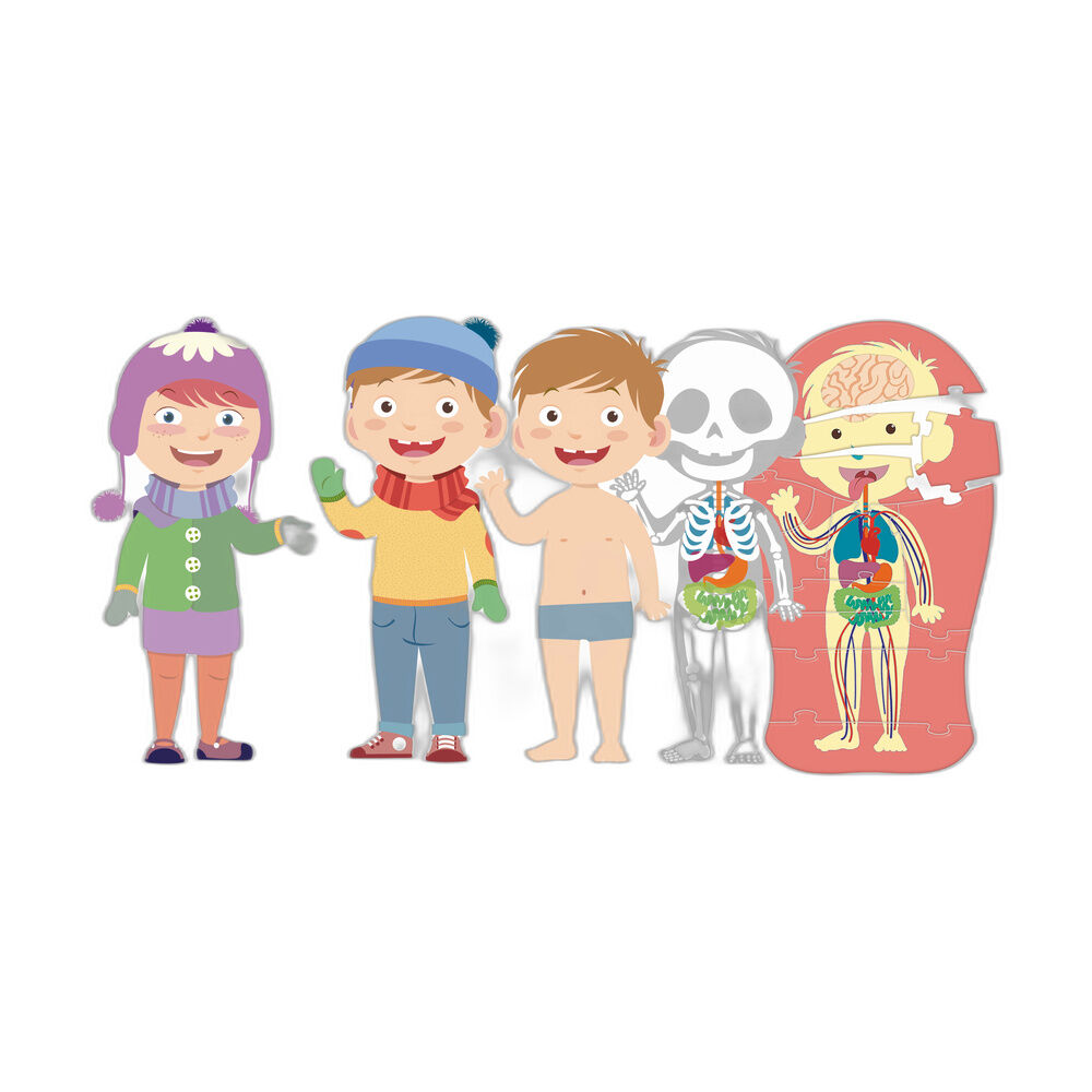El Cuerpo Humano
