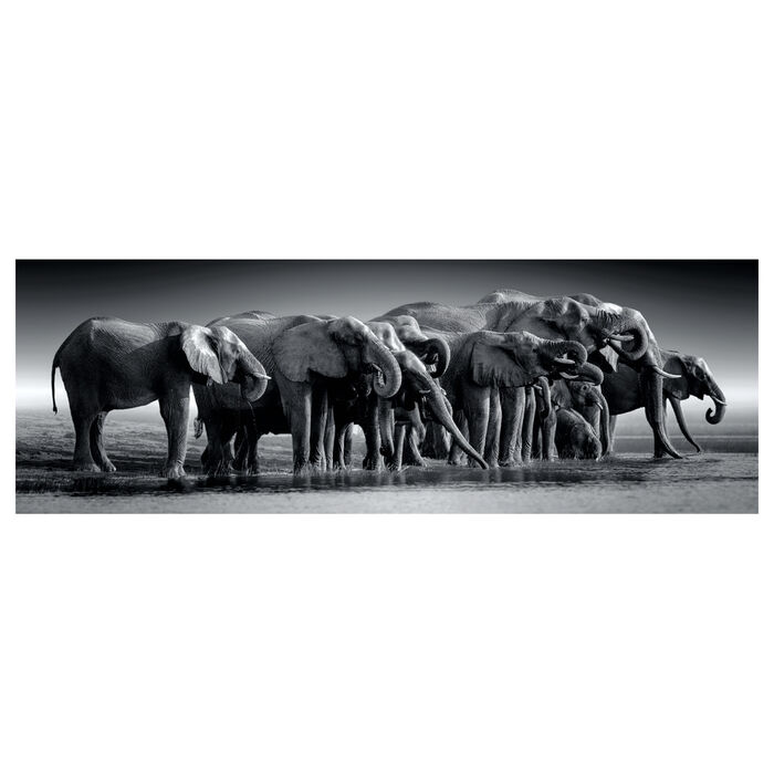 Puzzle Panorama Manada de Gigantes 1000pzs