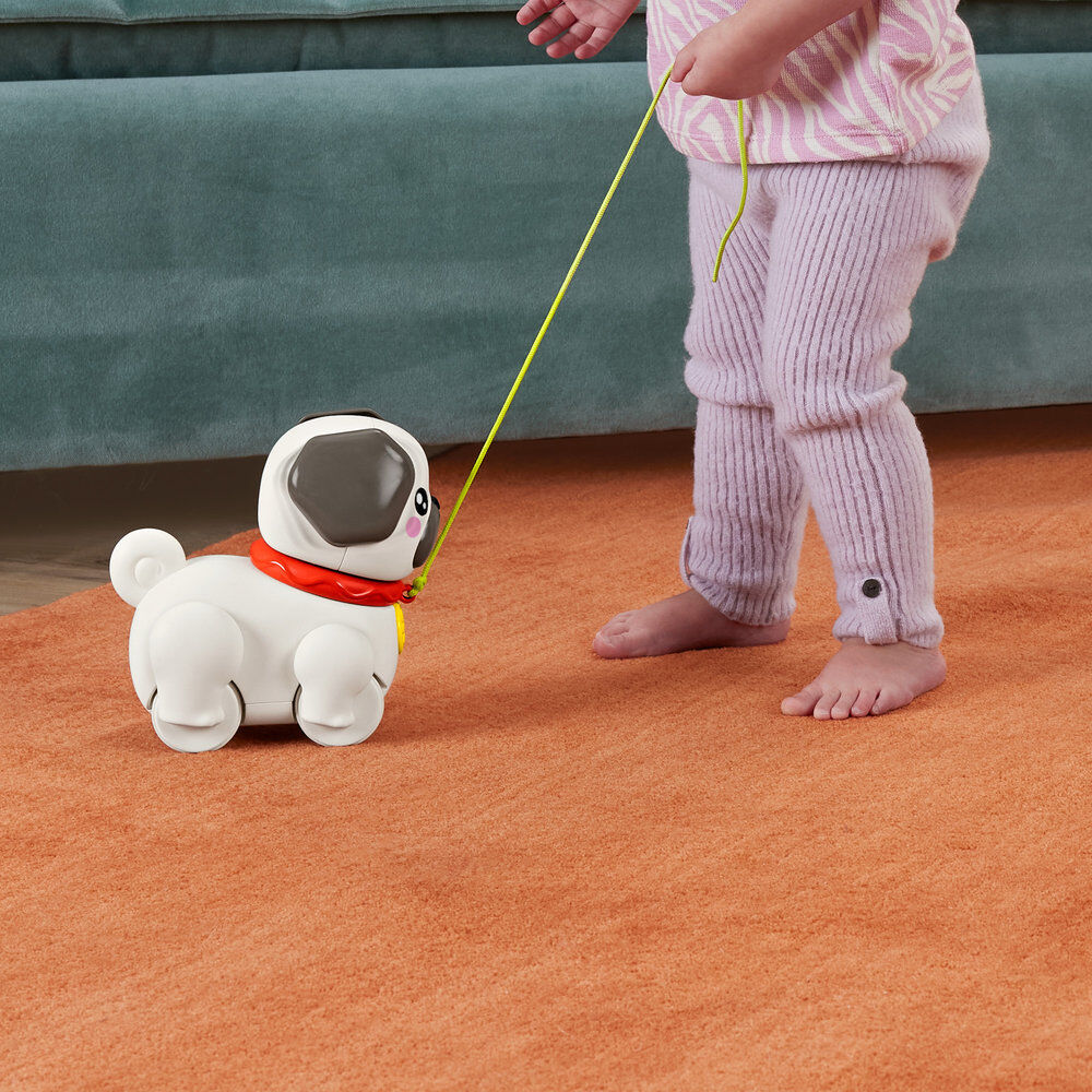 Pasea al Perrito Carlino - Imagen 3