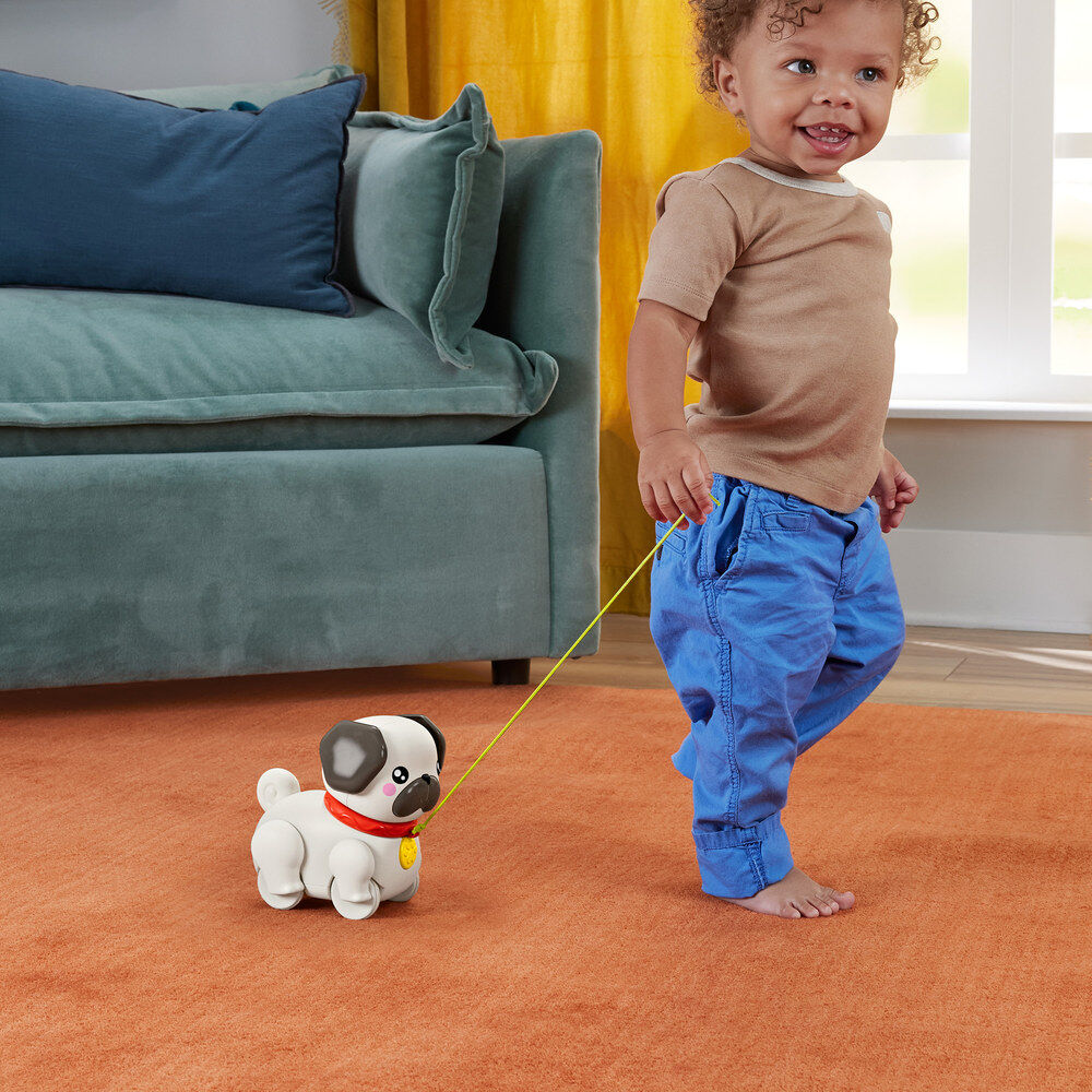 Pasea al Perrito Carlino - Imagen 4